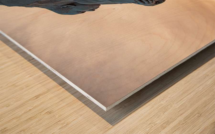 Martin Luther King Monument DC Wood print