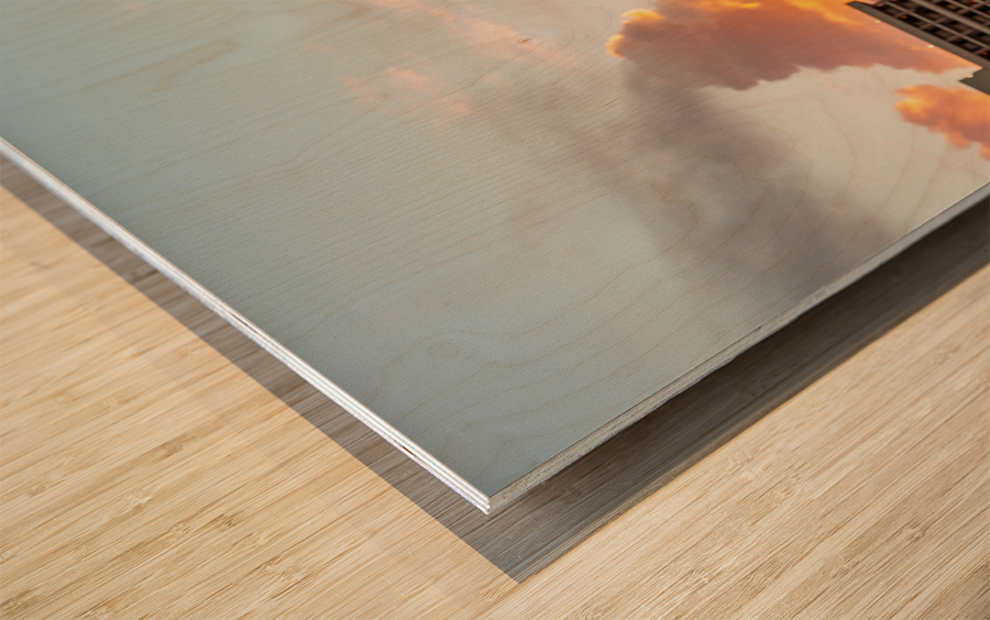 Carved head of dragon canoe in Waikiki Wood print