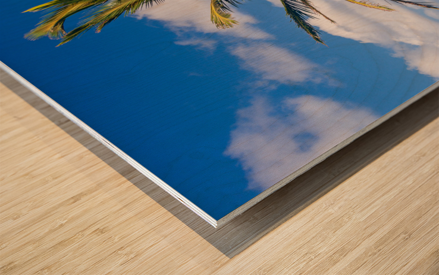 Sealodge and anini beach in Kauai Wood print