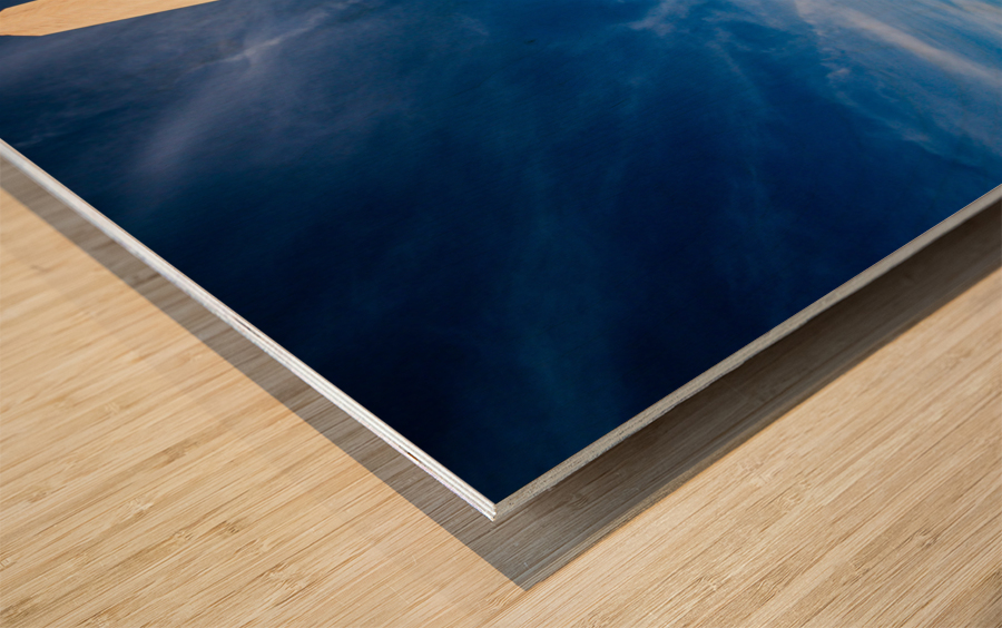 Wide angle view of Washington Monument Wood print