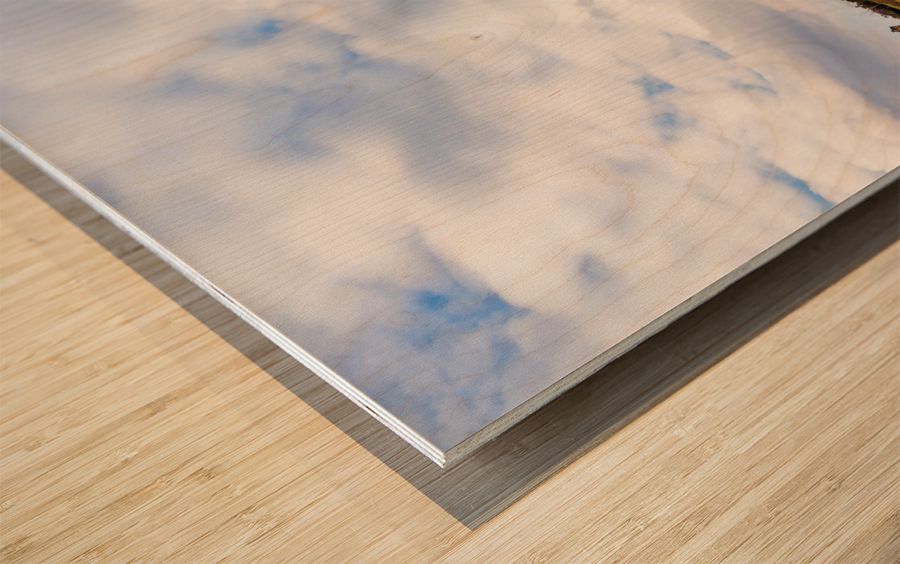 George Washington National Masonic Memorial Wood print