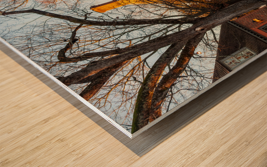 Old houses in Colonial Williamsburg Impression sur bois