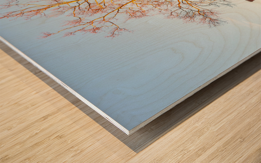 Old houses in Colonial Williamsburg Wood print