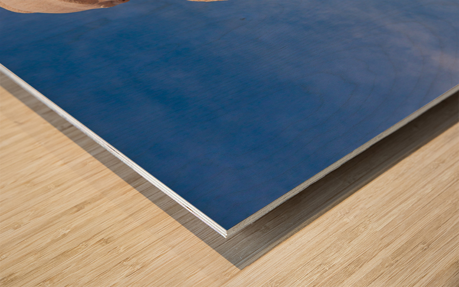 Martin Luther King Monument DC Wood print