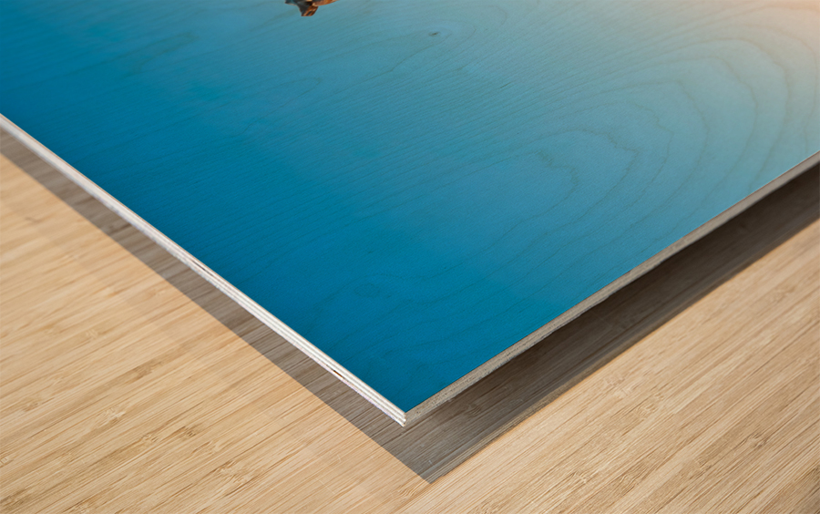 Statue of Stonewall Jackson at Manassas Impression sur bois