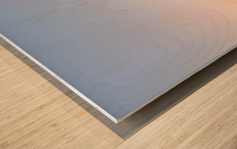 Sunrise behind the dome of the Capitol Wood print