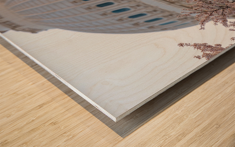 Cherry blossoms by the Capitol dome at dawn Wood print