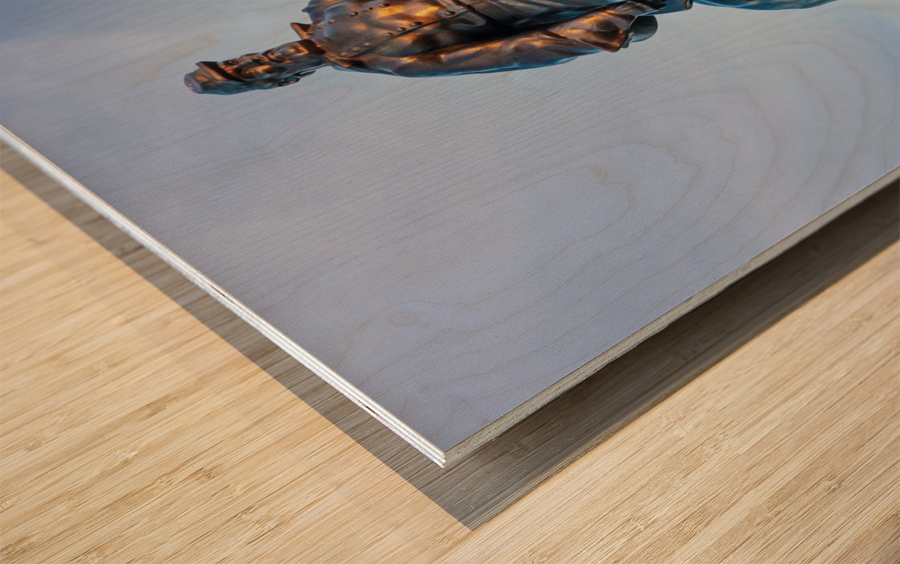 Statue of Stonewall Jackson Wood print