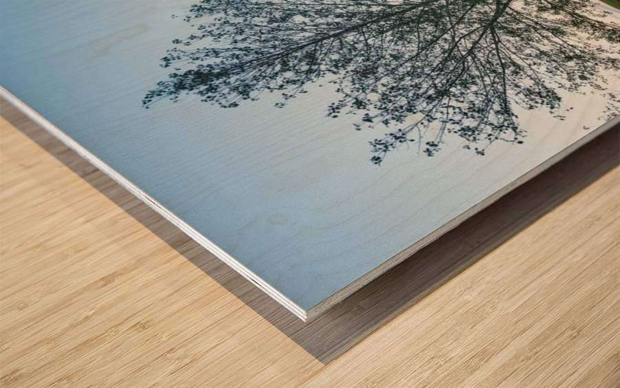 Old Stone House Manassas Battlefield Wood print