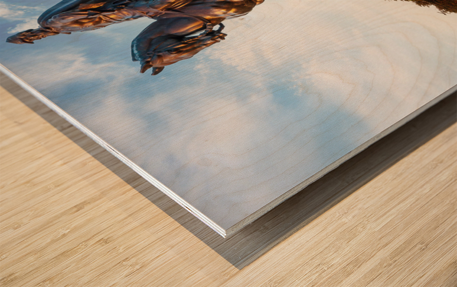 Statue of Stonewall Jackson Wood print