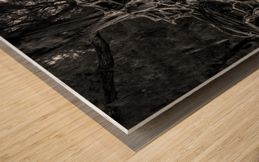 Storm erosion on tree roots at Kee beach Wood print