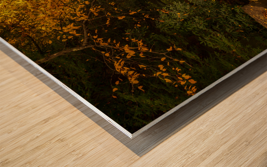 View down Deckers Creek near Masontown Wood print