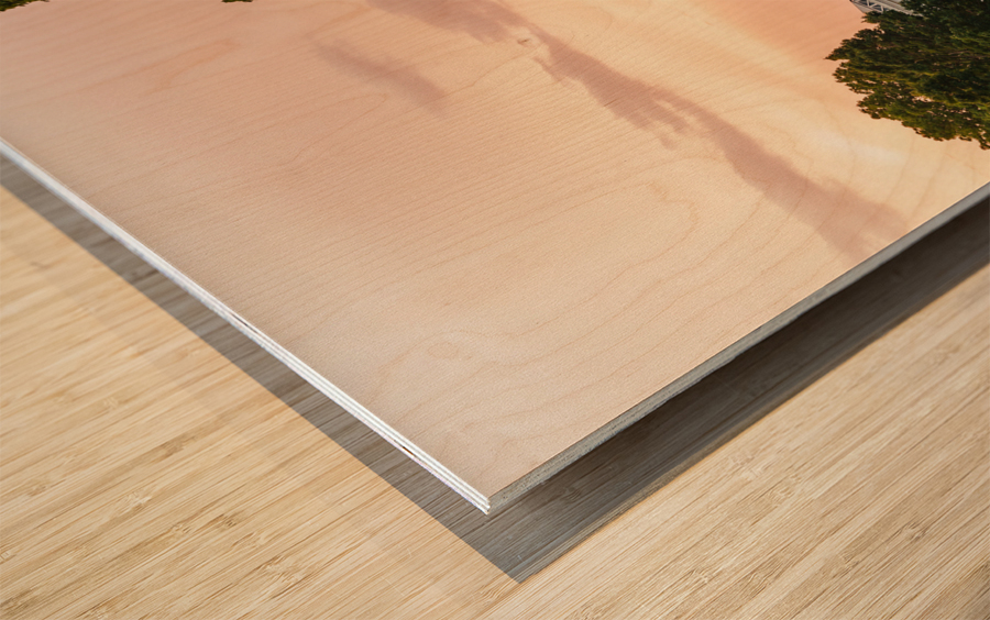 Old Cabell Hall at University of Virginia Wood print