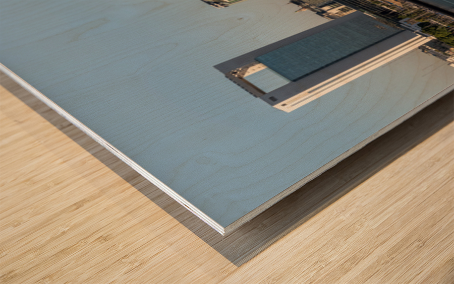 Panorama of the city of Buenos Aires in Argentina with artificia Wood print