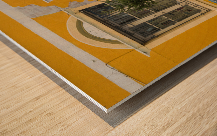 Wall mural on building in Punta Arenas in Chile Impression sur bois