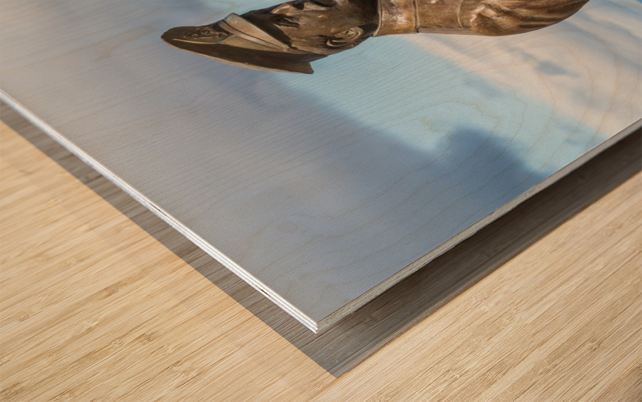 Statue of Ernest Shackleton pointing at Viking Jupiter ship in P Wood print