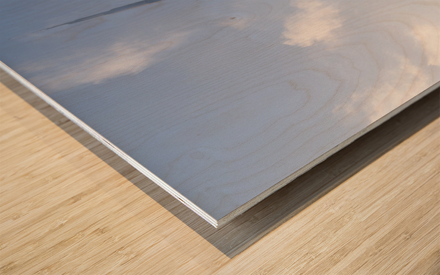 Entrance to Palace Downtown hotel in Dubai business district Wood print