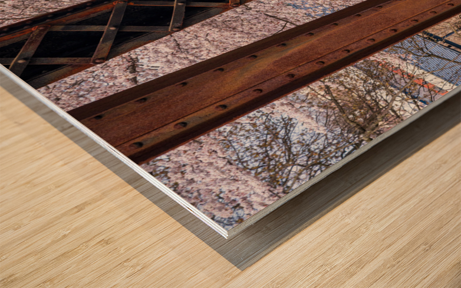 Steel girder bridge carries the bike walking trail over Deckers  Wood print