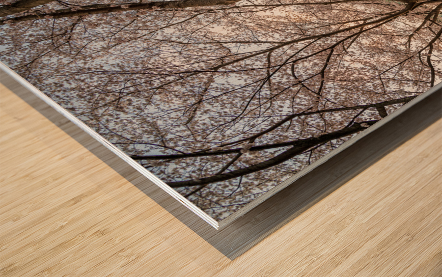 Jogger running on the bike walking trail over Deckers Creek Morg Wood print