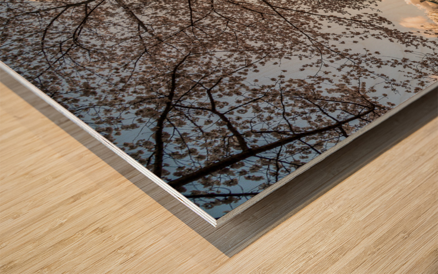 Steel girder bridge carries the bike walking trail over Deckers  Wood print