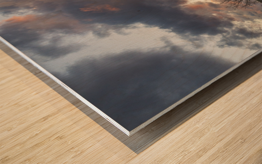 Steel girder bridge carries the bike walking trail over Deckers  Wood print