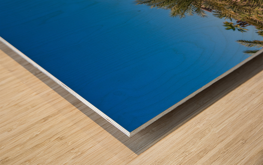 Artificial waterways around Souk Madinat Jumeirah in UAE Wood print