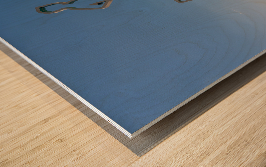 Rubber surface of running track alongside Dubai beach Impression sur bois