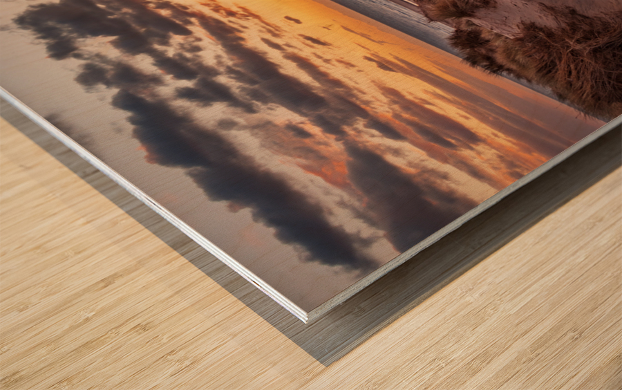 Sunset over Formby Beach through sand dunes Wood print