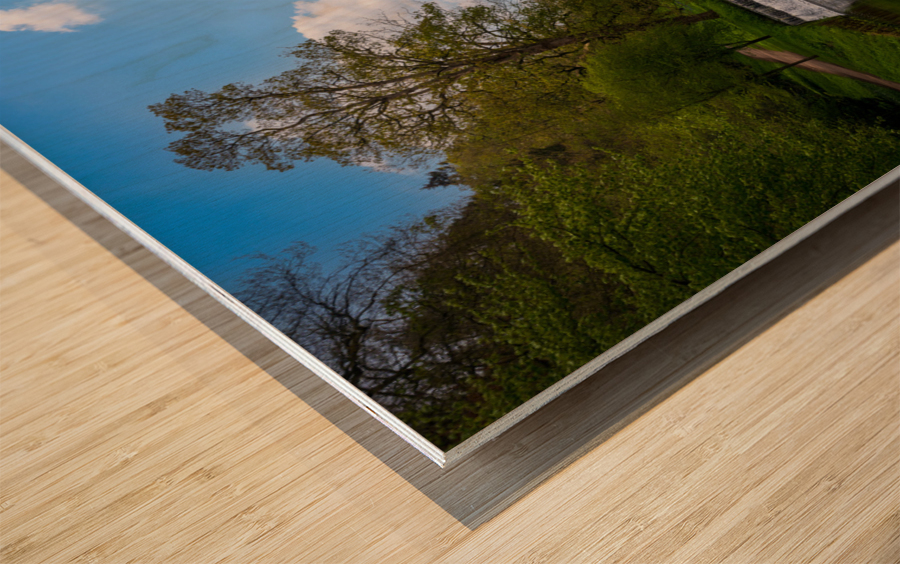 Springtime at Fountains Abbey ruins in Yorkshire England Wood print