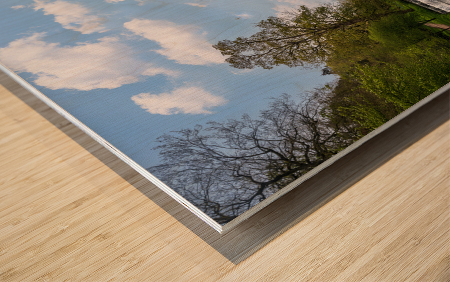 Springtime at Fountains Abbey ruins in Yorkshire England Wood print