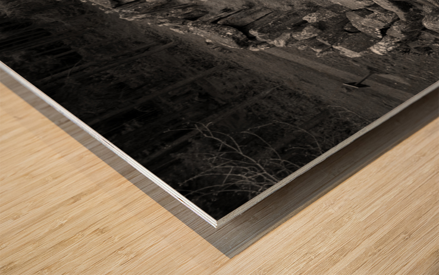 Standing stones of the Druids Plantation in Nidderdale Wood print