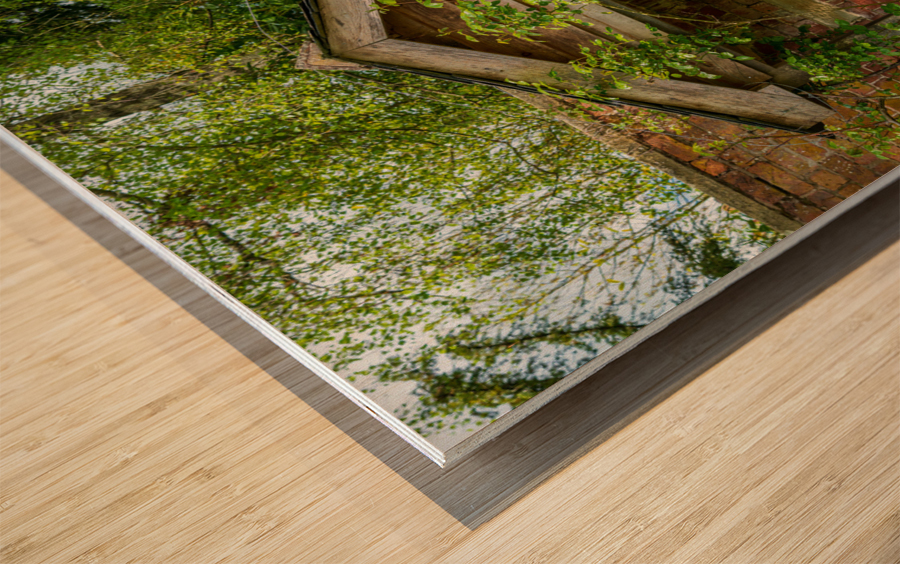Painted green door and porch in walled garden wall Wood print