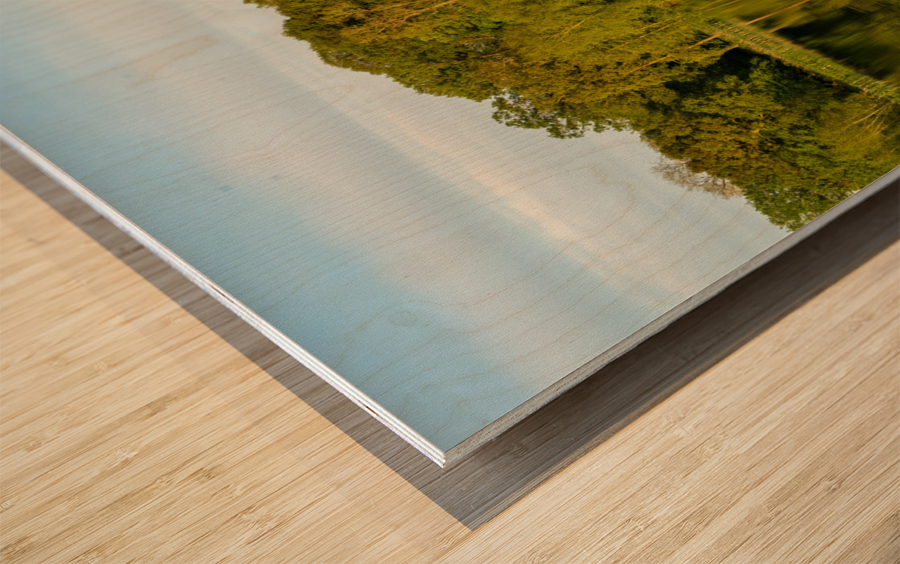 View across the Mere to a reflection of distant trees in Ellesme Wood print