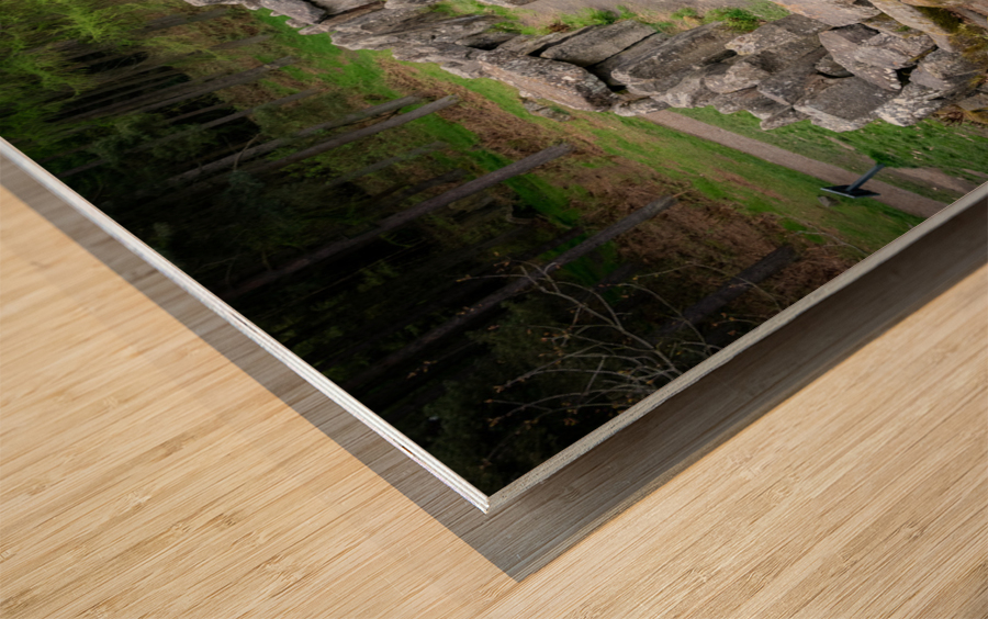 Standing stones of the Druids Plantation in Nidderdale Impression sur bois