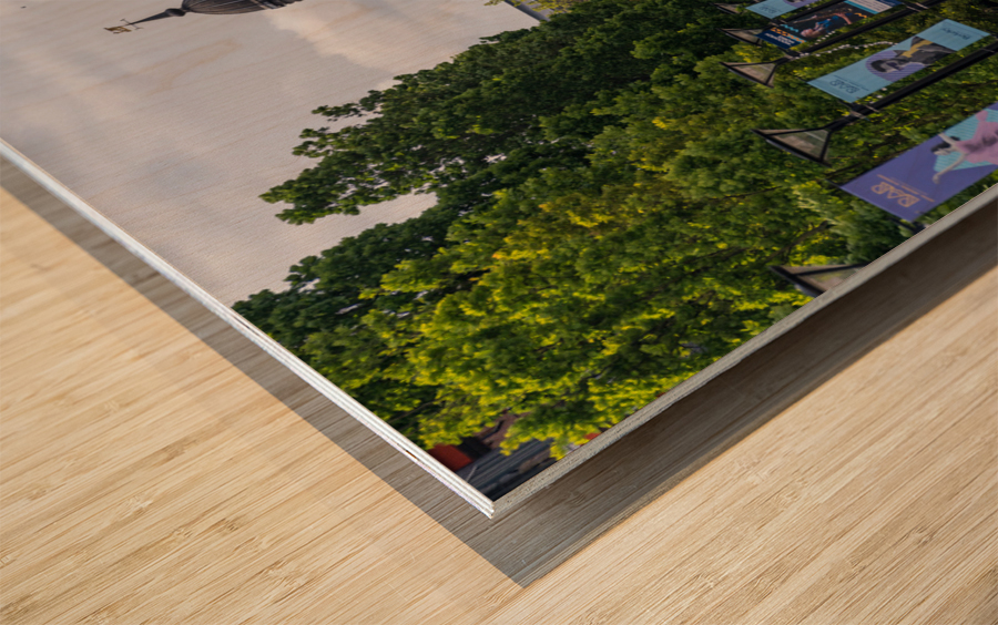 Spring at Royal Brass Foundry in Arsenal Riverside Wood print