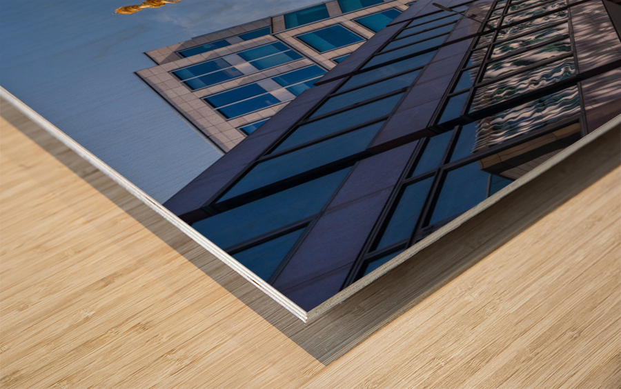 Modern office buildings surround the Monument in London Wood print