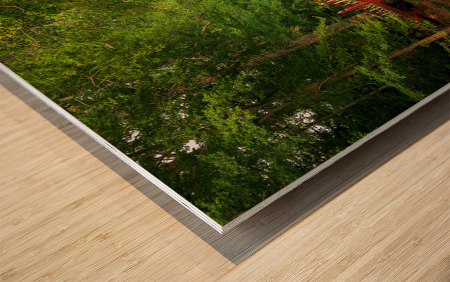 Crim Dell bridge at William and Mary college Wood print