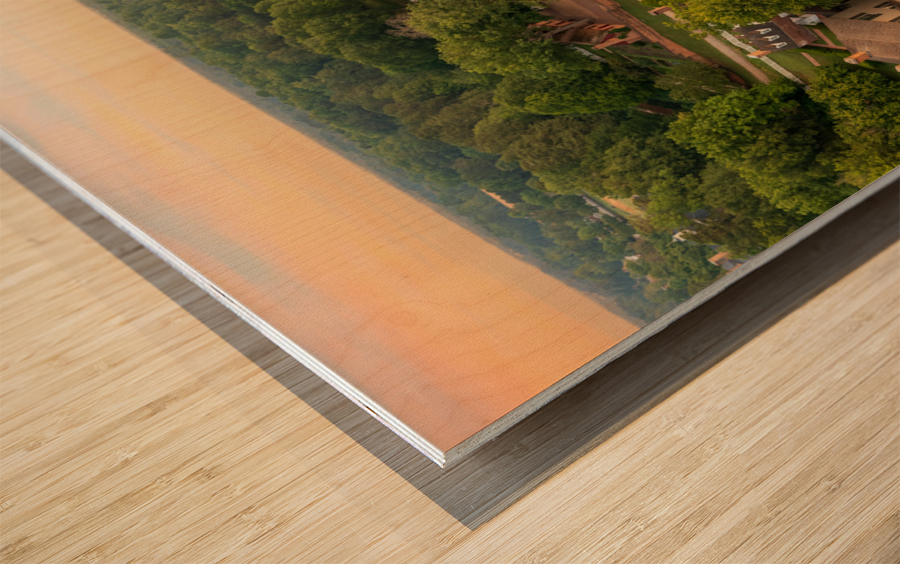 Aerial view of Governors Palace in Williamsburg Virginia Wood print