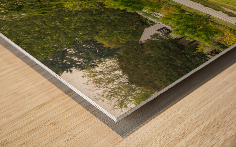 Sheep grazing in meadow in Williamsburg Virginia Wood print