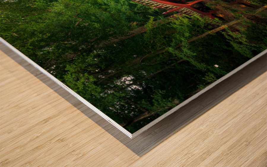 Crim Dell bridge at William and Mary college Wood print