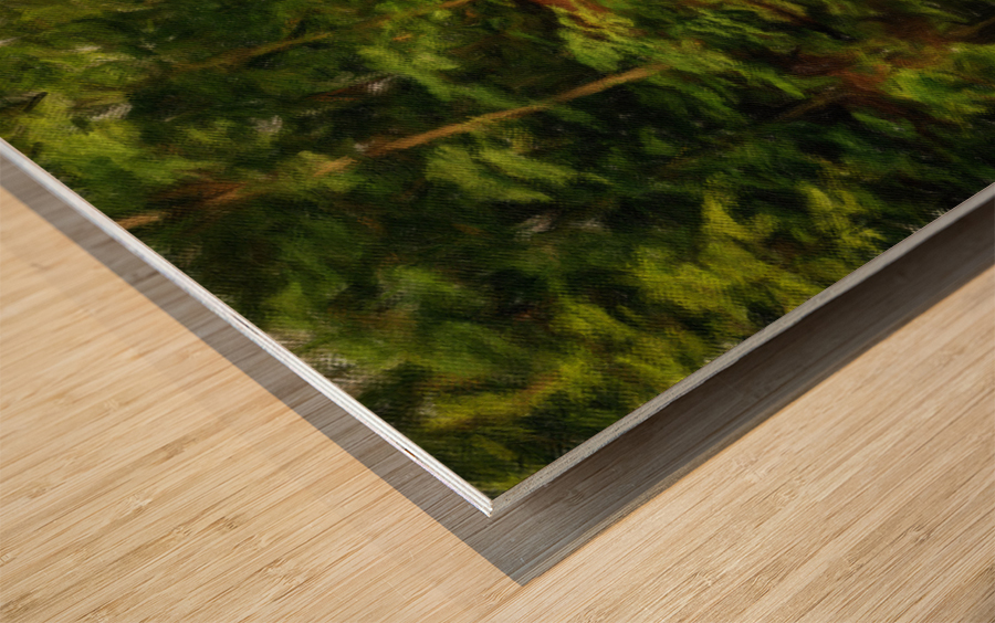 Oil painting of Crim Dell bridge at William and Mary college Impression sur bois