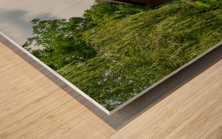 Dents Run Covered bridge near Morgantown WV Impression sur bois