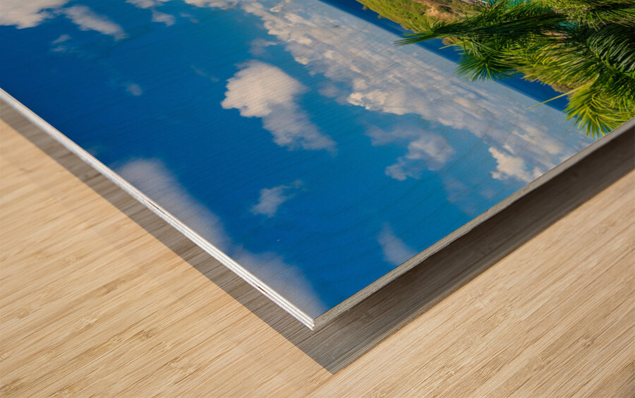 Mokolea point and Kahili beach framed by palm trees Kauai Impression sur bois