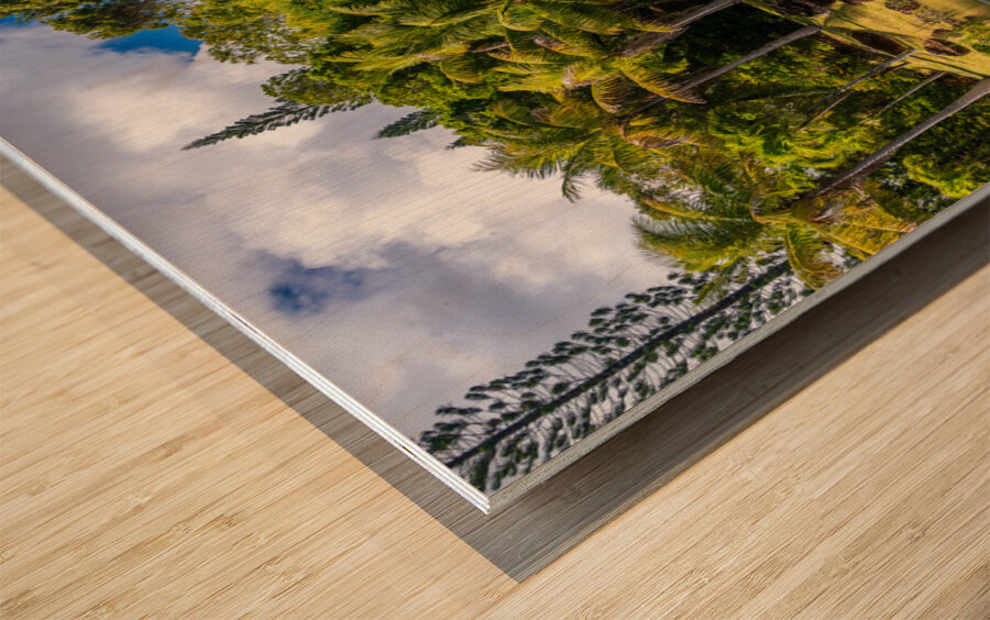 Gorgeous lagoon and lake in the Na Aina Kai sculpture garden Wood print