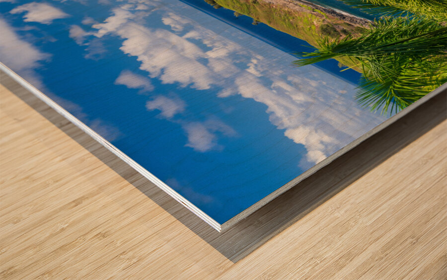 Mokolea point and Kahili beach framed by palm trees Kauai Wood print