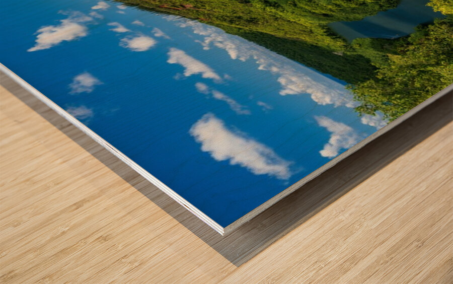 Wailua River bends around a meadow on Kauai Wood print