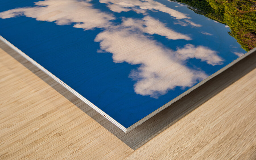 Wailua River bends around a meadow on Kauai Impression sur bois