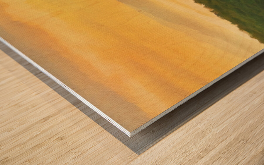 Painting of Cheat River gorge at sunrise near Raven Rock Wood print