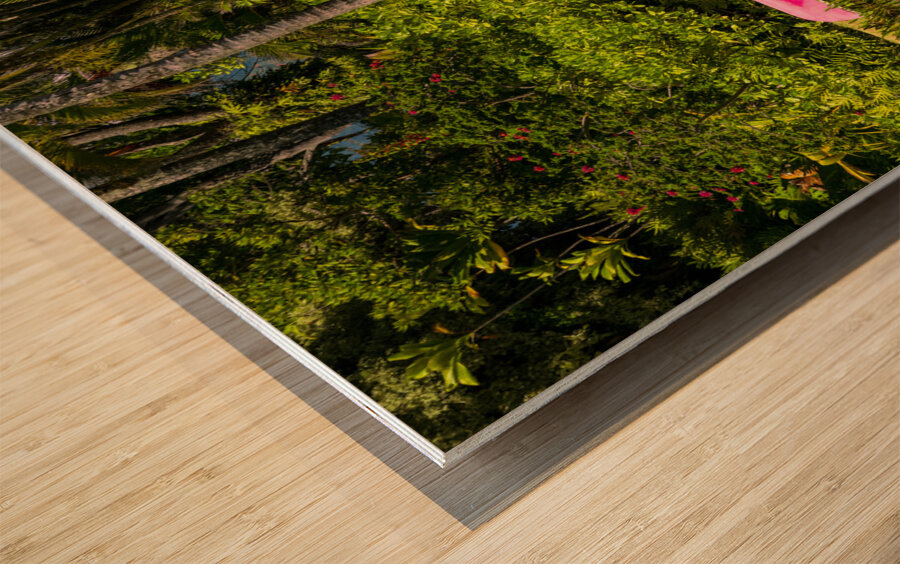 Red canoe on dock reflecting into calm lake or pond in garden Wood print