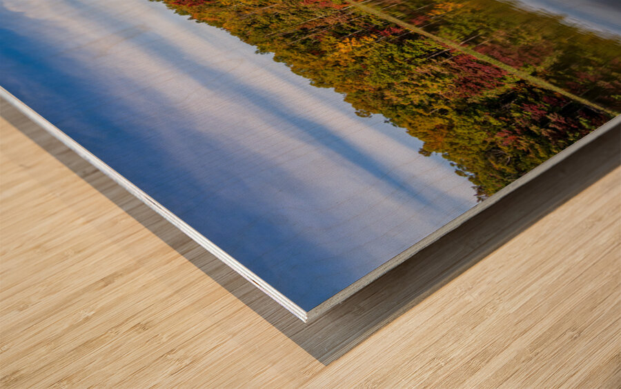 Fall leaves and metal pier in Coopers Rock State Forest in WV Impression sur bois